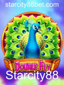 DoubleFly: A Nova Sensação em Starcity88